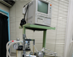 熊本市中央区南熊本 タイラ動物病院