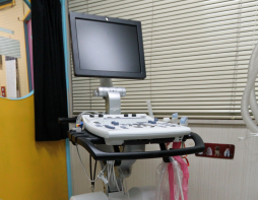 熊本市中央区南熊本 タイラ動物病院