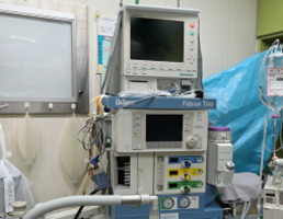 熊本市中央区南熊本 タイラ動物病院