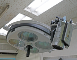 熊本市中央区南熊本 タイラ動物病院