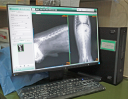 熊本市中央区南熊本 タイラ動物病院