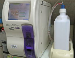 熊本市中央区南熊本 タイラ動物病院