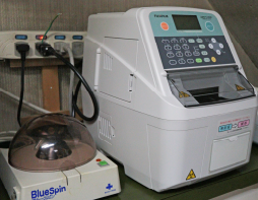 タイラ動物病院