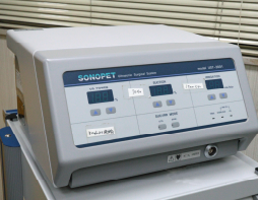 熊本市中央区南熊本 タイラ動物病院