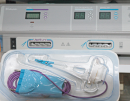 熊本市中央区南熊本 タイラ動物病院