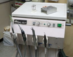 熊本市中央区南熊本 タイラ動物病院