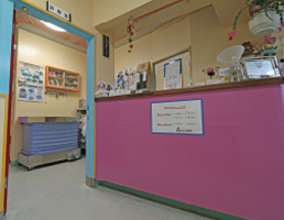 熊本市中央区南熊本 タイラ動物病院