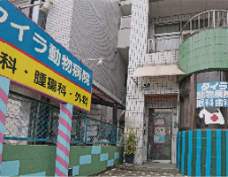 熊本市中央区南熊本 タイラ動物病院